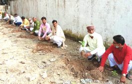 सोनहन में भाजपा नेताओं ने किया वृक्षारोपण