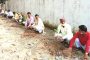 सोनहन में भाजपा नेताओं ने किया वृक्षारोपण