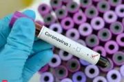 कोरोेना वैक्सीन: टीका लगवाने वाला विश्व का तीसरा सबसे बड़ा देश बना भारत