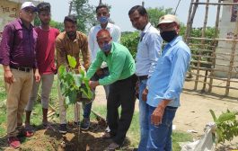 विश्व पर्यावरण दिवस: युवान फाउंडेशन व सक्षम संस्था द्वारा पौधरोपण अभियान एसडीएम अभिषेक पाठक, सीओ संतोष कुमार एवं जिला पर्यावरणीय समिति सदस्य प्रवीण गुप्ता की अगुवाई में हुआ कार्यक्रम
