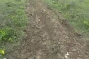 मुख्यमंत्री से शिकायत : चकमार्ग का वजूद खत्म, कई गाटों की भूमि पर अवैध कब्जे का आरोप