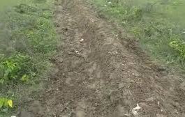 मुख्यमंत्री से शिकायत : चकमार्ग का वजूद खत्म, कई गाटों की भूमि पर अवैध कब्जे का आरोप
