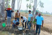 किसानों की बेहतर उपज के लिए तरल नैनो डीएपी का सतनापुर में परीक्षण: ट्रायल के लिए बसखारी ब्लाक के तीन गांव चयनित