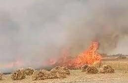 जिले के कई स्थानों पर गेहूं की खड़ी की फसल में लगी आग, आग लगने के कारण नुकसान होने से किसानों में हाहाकार, तेज हवाओं का सितम जारी