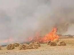जिले के कई स्थानों पर गेहूं की खड़ी की फसल में लगी आग, आग लगने के कारण नुकसान होने से किसानों में हाहाकार, तेज हवाओं का सितम जारी