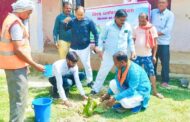 विश्व पर्यावरण दिवस पर वृक्षारोपण अभियान चलाया गया, पर्यावरण को संतुलित व सुरक्षित रखने के लिए की गई विशेष अपील