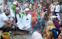 पैगंबर साहब के जन्म दिवस के पूर्व संध्या पर किछौछा दरगाह में वृक्षारोपण, पौधे लगाने की अपील