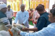 प्रधान संघ के पूर्व जिलाध्यक्ष/भाजपा जिला प्रतिनिधि रुद्र प्रसाद उपाध्याय के गौ पूजन से पशु आरोग्य मेले का उद्घाटन, 279 पशु पालकों में दवाइयों का वितरण