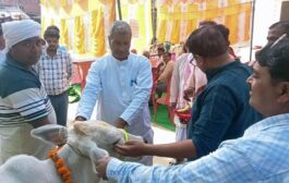 प्रधान संघ के पूर्व जिलाध्यक्ष/भाजपा जिला प्रतिनिधि रुद्र प्रसाद उपाध्याय के गौ पूजन से पशु आरोग्य मेले का उद्घाटन, 279 पशु पालकों में दवाइयों का वितरण