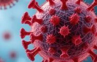 H1N1 पर CM योगी का बड़ा निर्देश, सरकारी अस्पतालों में फ्री होगी जांच