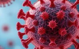 H1N1 पर CM योगी का बड़ा निर्देश, सरकारी अस्पतालों में फ्री होगी जांच